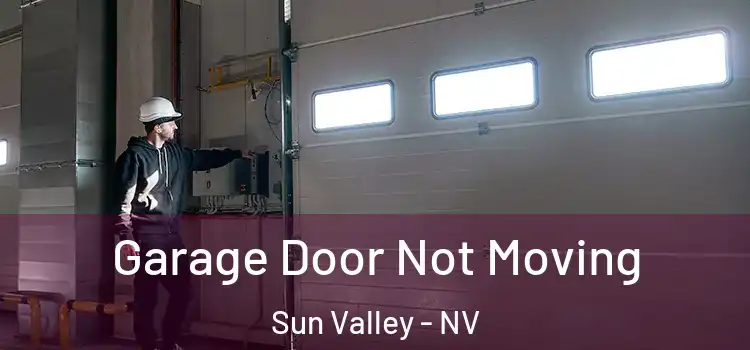  Garage Door Not Moving Sun Valley - NV