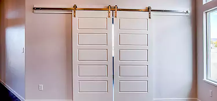 Glass Barn Door with Installation Hardware Kit Sun Valley