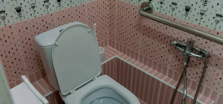 Meeting Diverse Needs With Accessible Restroom Solutions in Sun Valley, NV